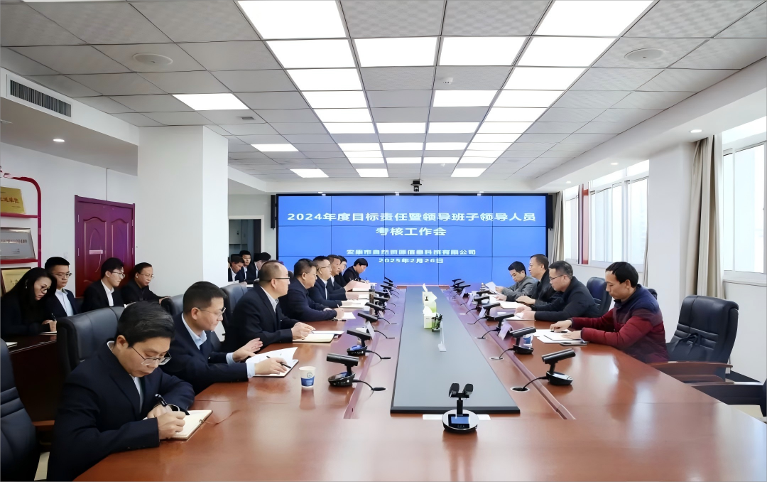 市国资委考核市自然资源信息科技有限公司2024年度工作